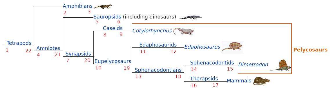 Storing a taxonomic tree in a relational database – Visualizing ...